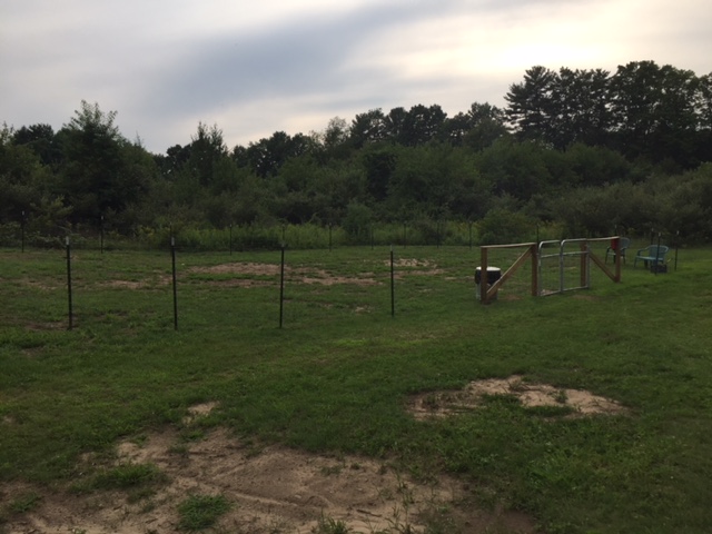 Campground Landscape